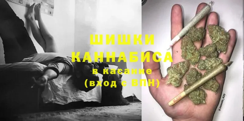 Бошки марихуана Bruce Banner  Беслан 